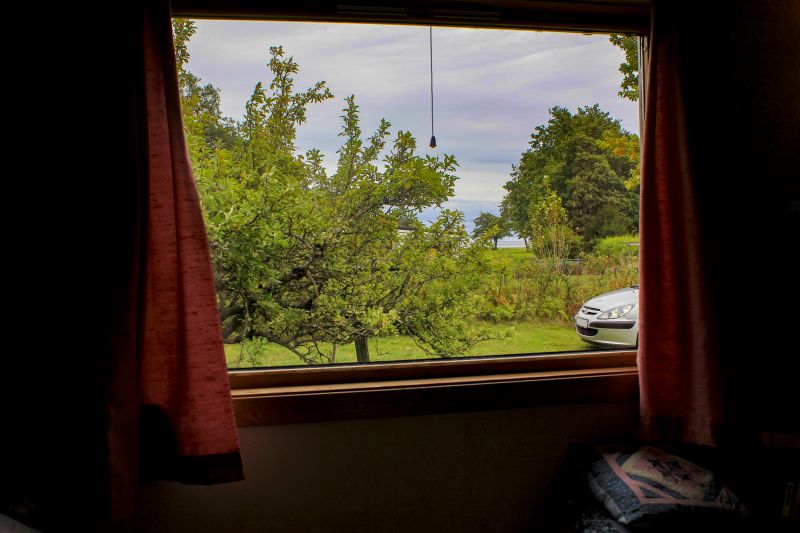Best Window Replacement Contractors in Spring, TX