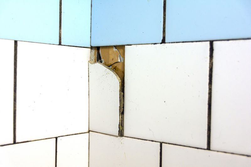 Tile Damage Repair